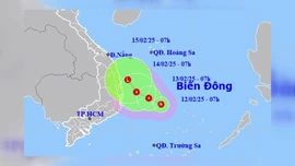 Khẩn cấp ứng phó với áp thấp nhiệt đới trên Biển Đông