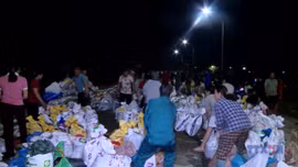 Bắc Ninh: Thiệt hại do bão số 11 ước tính hơn 1.600 tỷ đồng