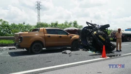Có nên bỏ cây xanh trên dải phân cách cao tốc?
