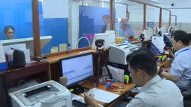 Bộ Công an ban hành mẫu giấy phép lái xe mới