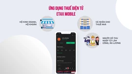 Người nộp thuế có thể được hoàn thuế trong 3 ngày