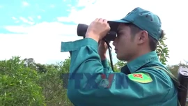 Tăng cường tuần tra biên giới đợt cao điểm Đại hội Đảng toàn quốc