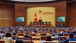 Thống nhất sửa 'kỳ họp bất thường' thành 'kỳ họp không thường lệ'