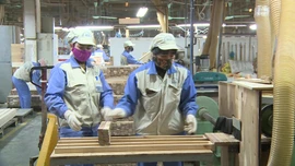 Cắt giảm 30% thủ tục hành chính, điều kiện kinh doanh trong năm 2025