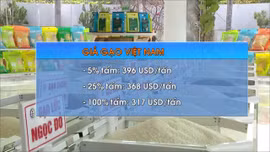 ‎Gạo Việt lấy lại vị thế đắt giá nhất thế giới
