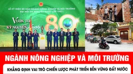 Bản tin tối 12/11 của báo Tin tức và Dân tộc có những bản tin chính sau đây.