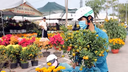 Người dân tấp nập mua sắm tại chợ hoa Xuân Tri Tôn (An Giang).