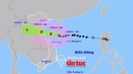 Bão số 5 có cường độ rất mạnh, tương đương bão Yagi năm 2024