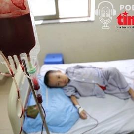 Bác sĩ ơi: Bệnh tan máu bẩm sinh, bệnh di truyền tiềm ẩn trong cộng đồng