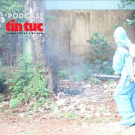 Bác sĩ ơi: Cảnh giác dịch sốt xuất huyết ngay từ đầu năm