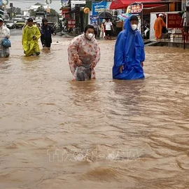 Bác sĩ ơi: Cảnh giác bệnh ghẻ, nấm da với người dân sau lũ lụt