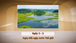 Khoảnh khắc và Sự kiện ngày 2/2