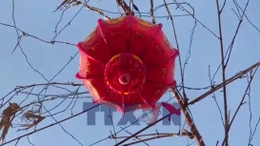 Gắn kết cộng đồng qua tục dựng cây nêu ăn Tết