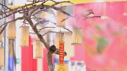 Độc đáo đèn đu đủ đón xuân 