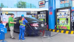 Xăng sinh học: Bước chuyển không thể trì hoãn