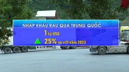 Việt Nam chi hơn 1,5 tỷ USD nhập rau quả từ Mỹ, Trung Quốc