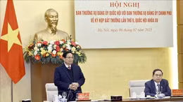 Chuẩn bị nội dung trình Kỳ họp bất thường lần thứ 9 của Quốc hội