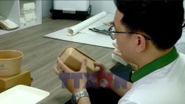 Giải pháp công nghệ nâng cao khả năng tái chế bao bì giấy