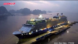 Thời sự 24h qua ảnh sáng 1/1/2026