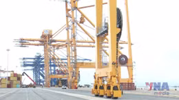 Logistics xanh giảm tối đa chi phí cho doanh nghiệp xuất khẩu 