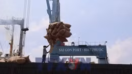 Giải pháp bảo toàn 8 tỷ USD nông sản xuất khẩu do xung đột Trung Đông