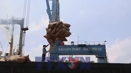 Giải pháp bảo toàn 8 tỷ USD nông sản xuất khẩu do xung đột Trung Đông