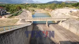 Chủ động ứng phó hạn hán và xâm nhập mặn 