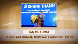 Khoảnh khắc và Sự kiện ngày 29/8 