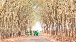 Xuân ấm áp với công nhân cao su