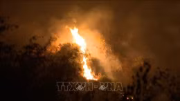 Cháy rừng đặc dụng tại Tràng An