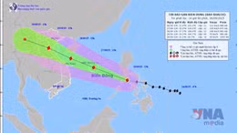 Thông tin cập nhật cơn bão BUALOI 