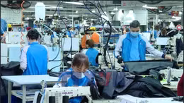 Ngành dệt may chuyển hướng từ gia công sang phát triển bền vững 