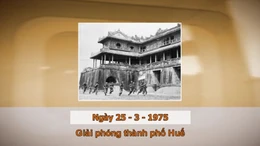 Khoảnh khắc và Sự kiện ngày 25/3