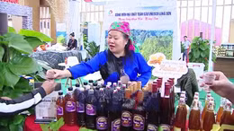 Hội chợ Mùa Thu 2025: Nâng tầm hàng Việt trên bản đồ thương mại thế giới 