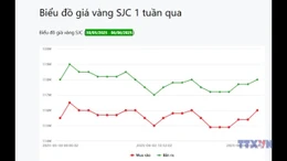 Thị trường vàng sau chỉ đạo của Tổng Bí thư