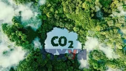 Siết quản lý hạn ngạch và tín chỉ carbon