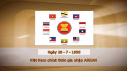 Khoảnh khắc và Sự kiện ngày 28/7 