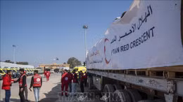 Hamas cam kết tuân thủ lệnh ngừng bắn tại Gaza