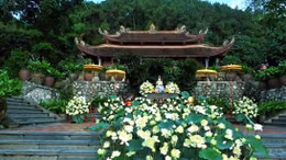 10.000 đóa sen thức dậy 'Quốc tộ chi hương' chốn thiền môn 