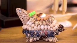 Người 'thổi hồn' vào sò ốc 