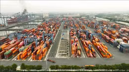 Trở ngại kìm hãm sự phát triển của cụm cảng biển Cái Mép 