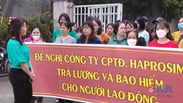 Từ 1/7, tăng nặng mức phạt chậm đóng bảo hiểm xã hội 