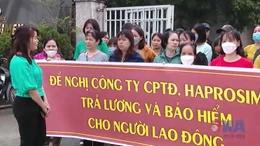Từ 1/7, tăng nặng mức phạt chậm đóng bảo hiểm xã hội 