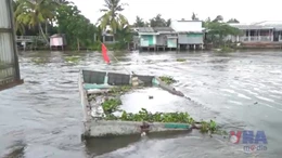 Sạt lở nhấn chìm nhà dân ở Cần Thơ 