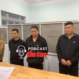 Tin nóng trong nước nghe nhanh sáng 29/12