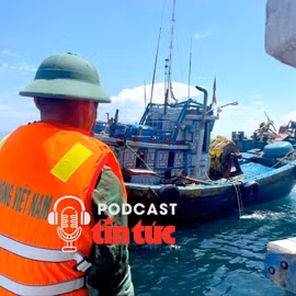 Tin nóng trong nước sáng 15/10/2025