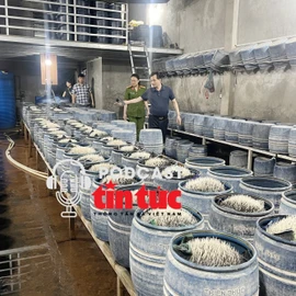 Tin nóng trong nước sáng 28/5/2025