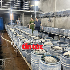 Tin nóng trong nước sáng 28/5/2025