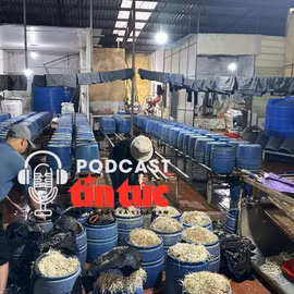 Tin nóng trong nước nghe nhanh sáng 24/1