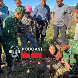 Tin nóng trong nước sáng 2/12/2025